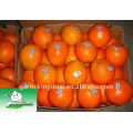 Big Navel Orange en cartón de 15kg